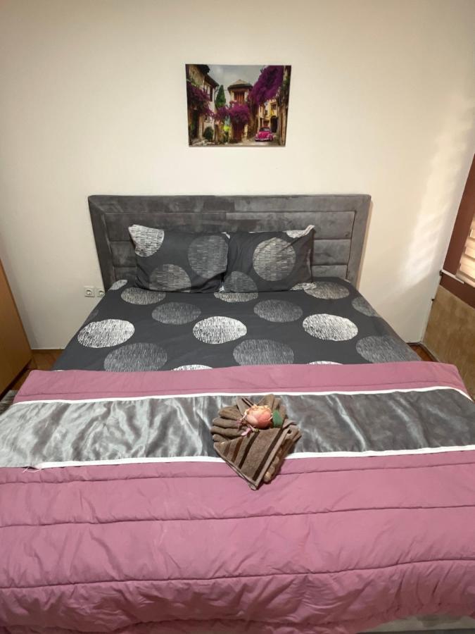 Aloha Apartment ノヴィ・パザル エクステリア 写真
